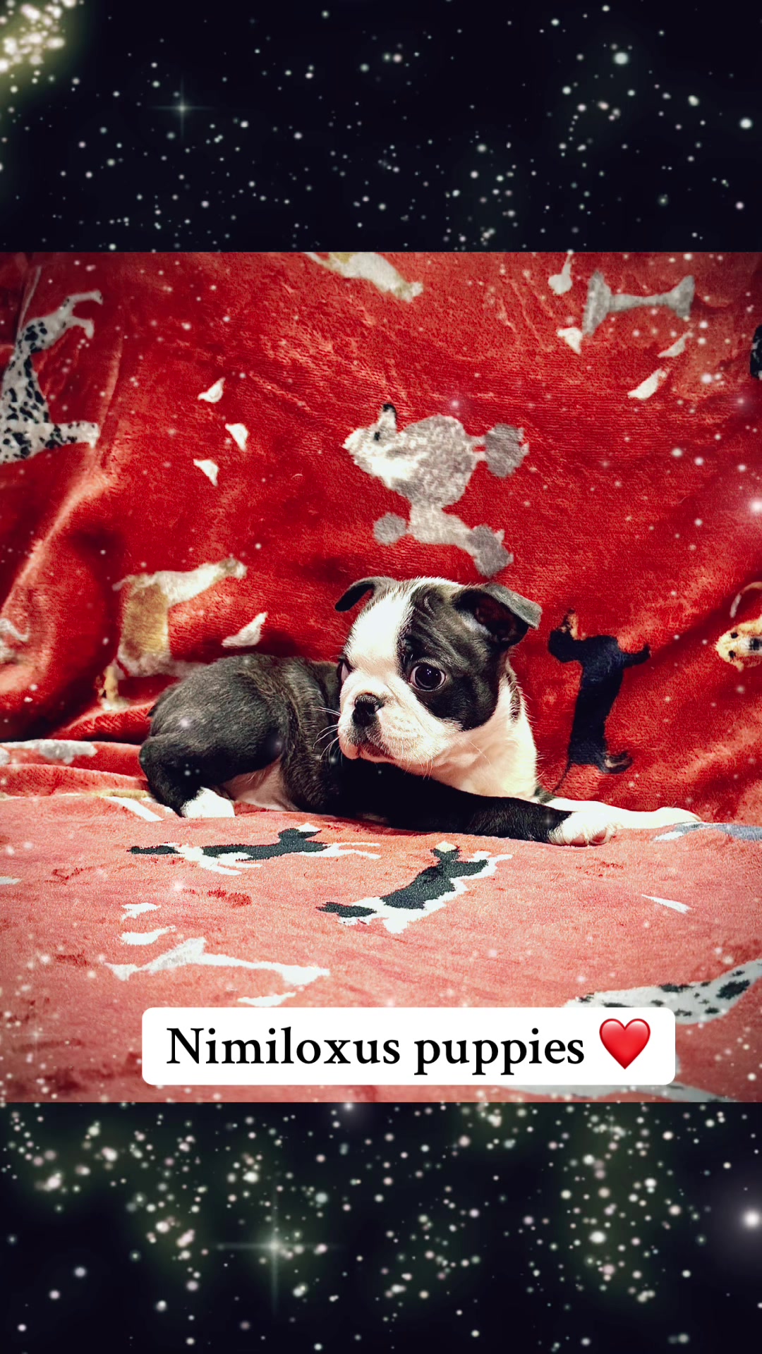 @nimiloxus