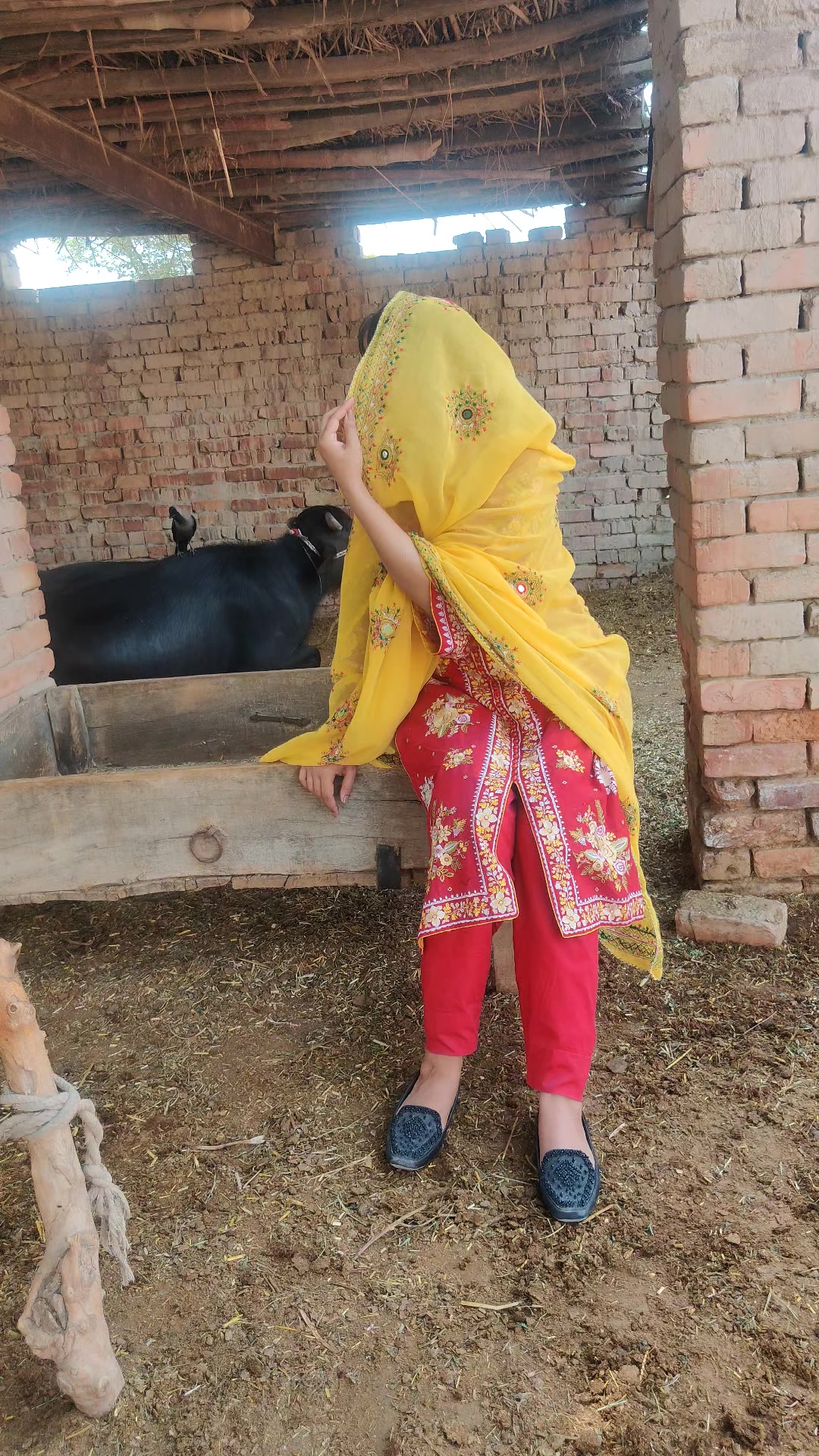@zimal khan saraiki 9612