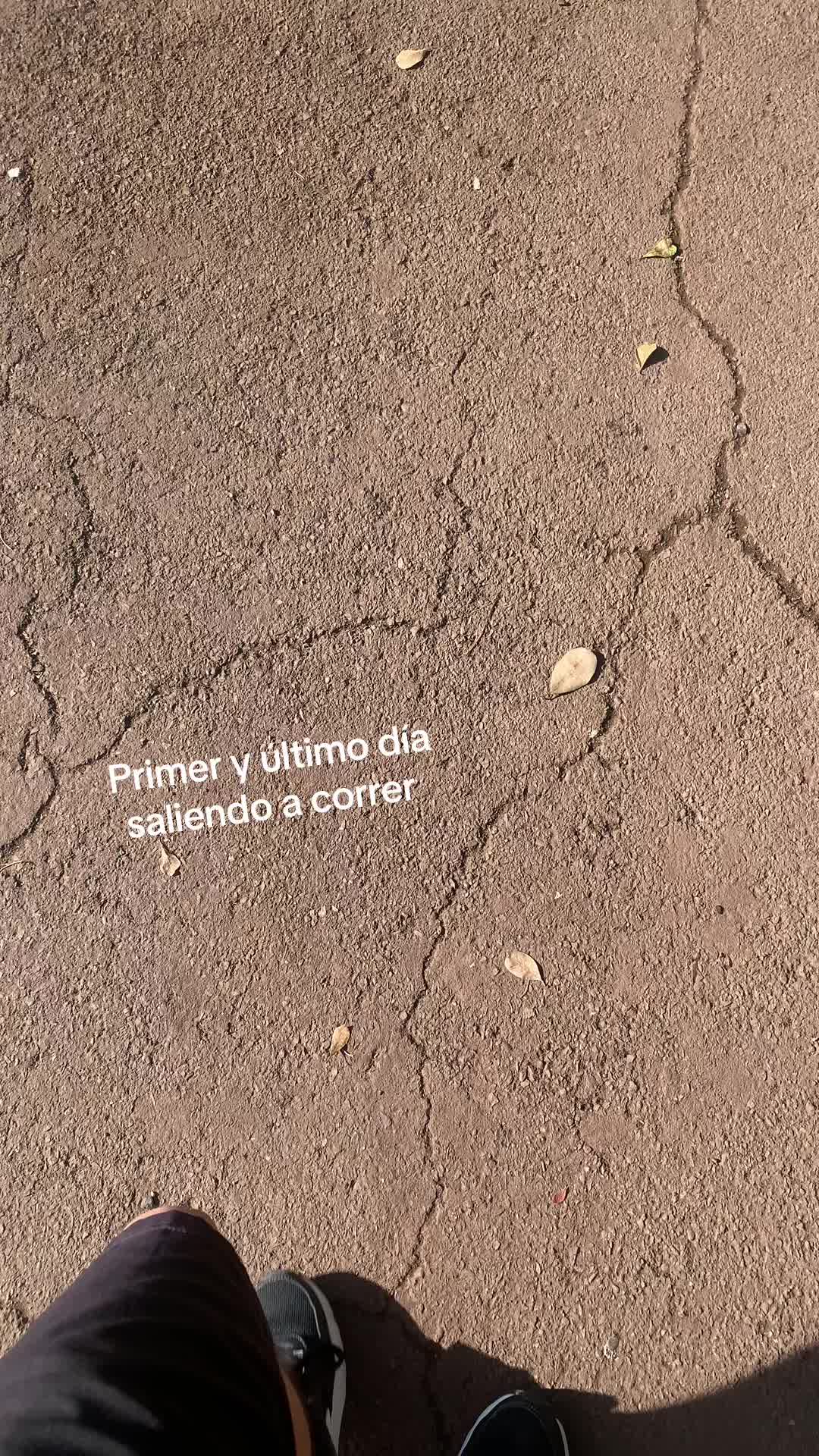 @Anime Cortos ISM