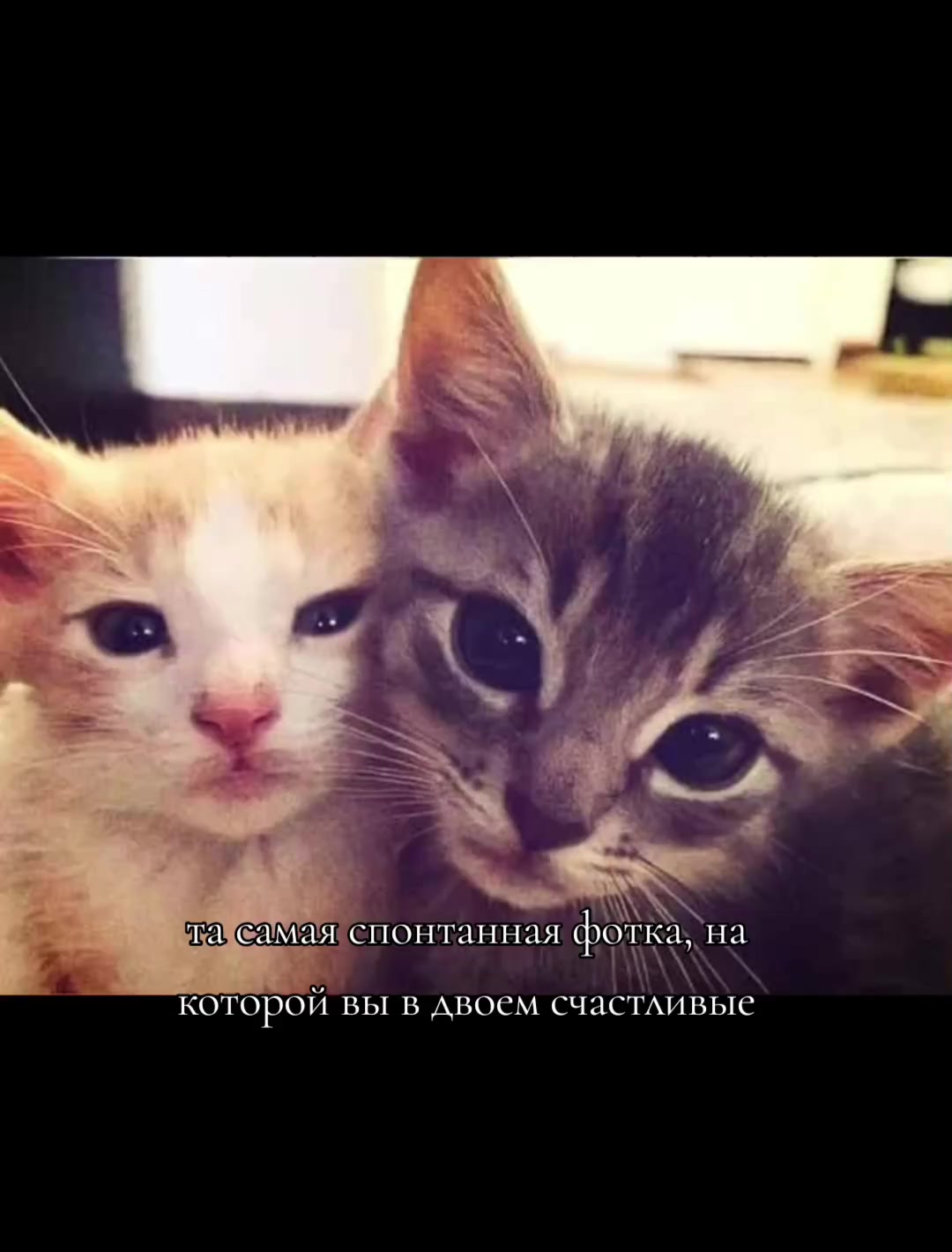 @клистирчик😝