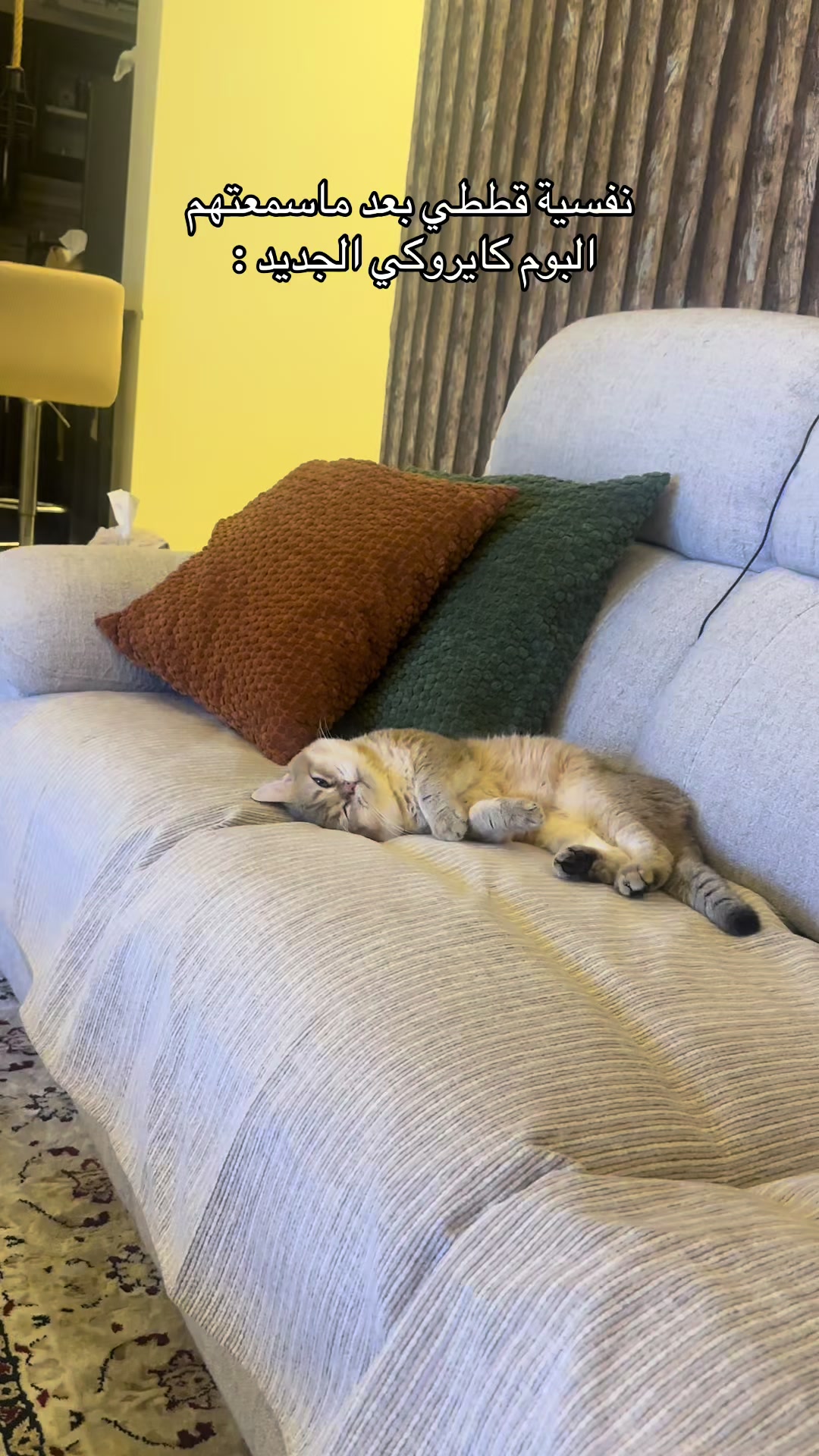 @الديموزيل ✨