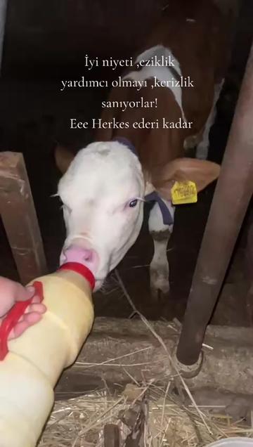 @y&ouml;rukbeyi48