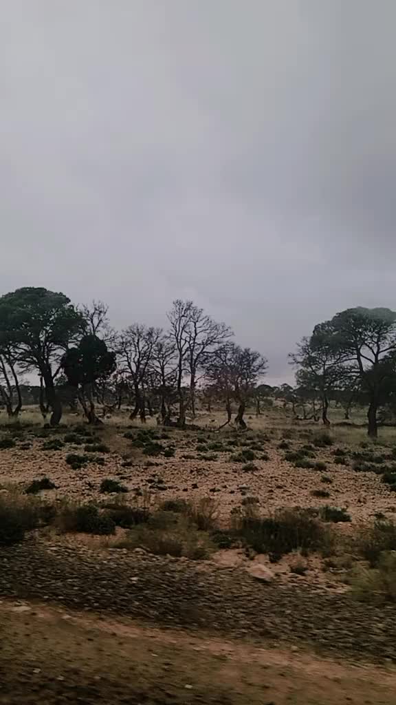 @سمعليتو