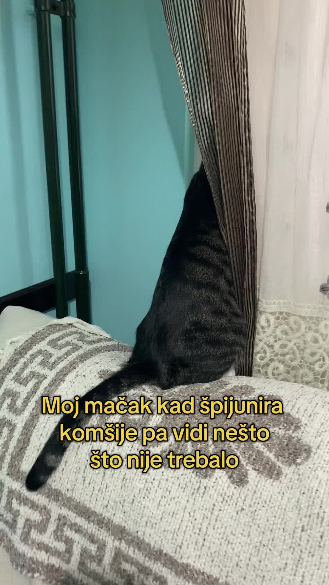 @Srećko & Rista 🐈⬛
