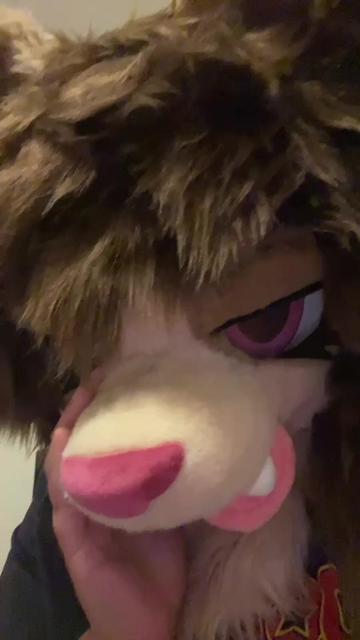 @Y’alltism🔜Megaplex