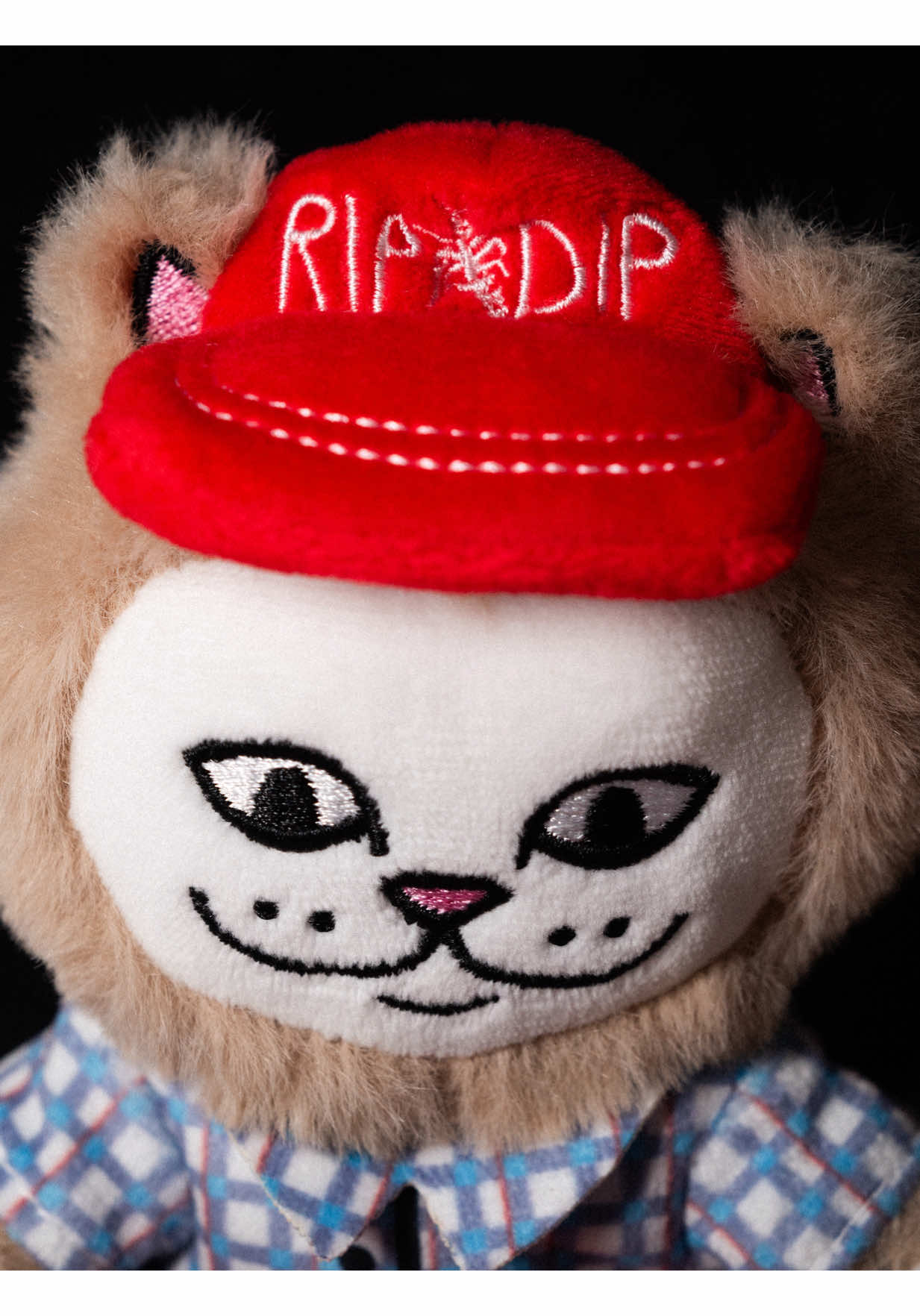 @RIPNDIP