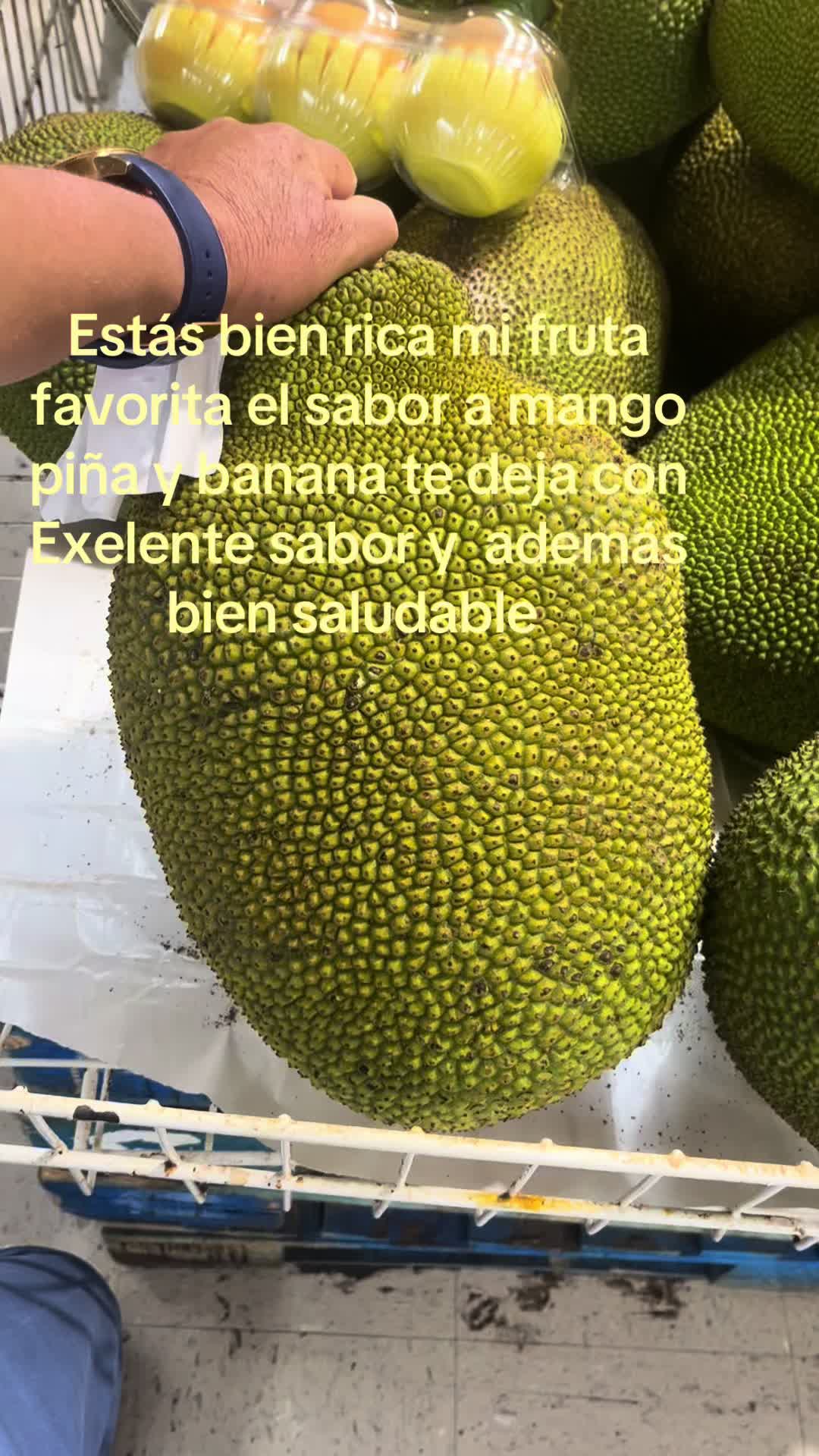 @jose.fernando.ale56