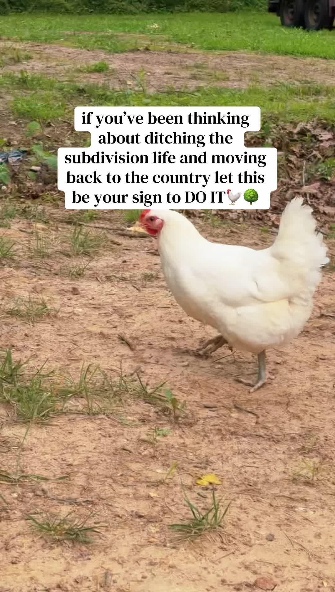 @MJ