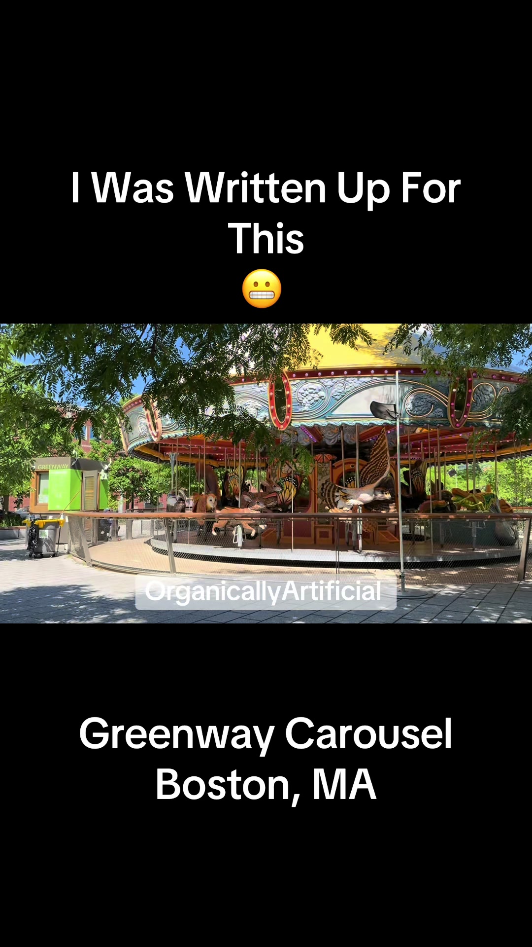 @The Organically Artificial CEO