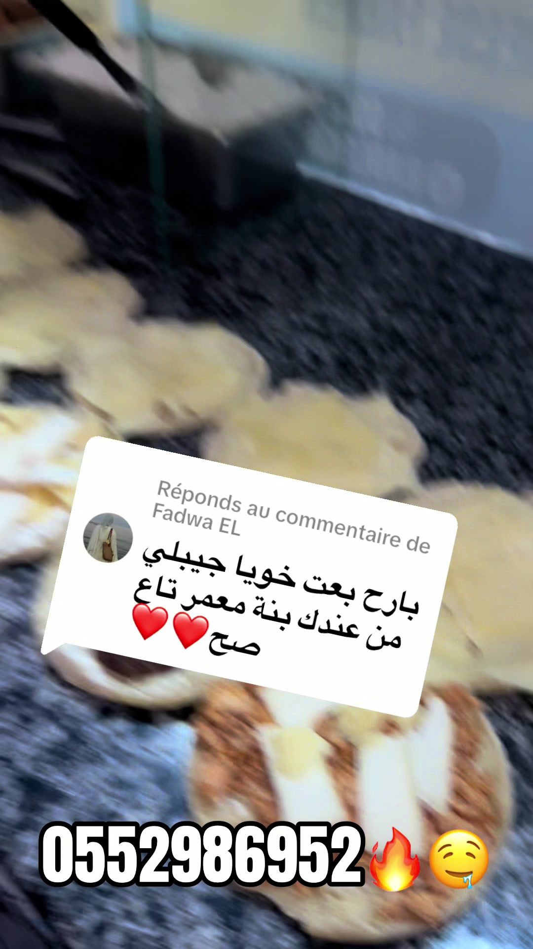 @adlen3fromage