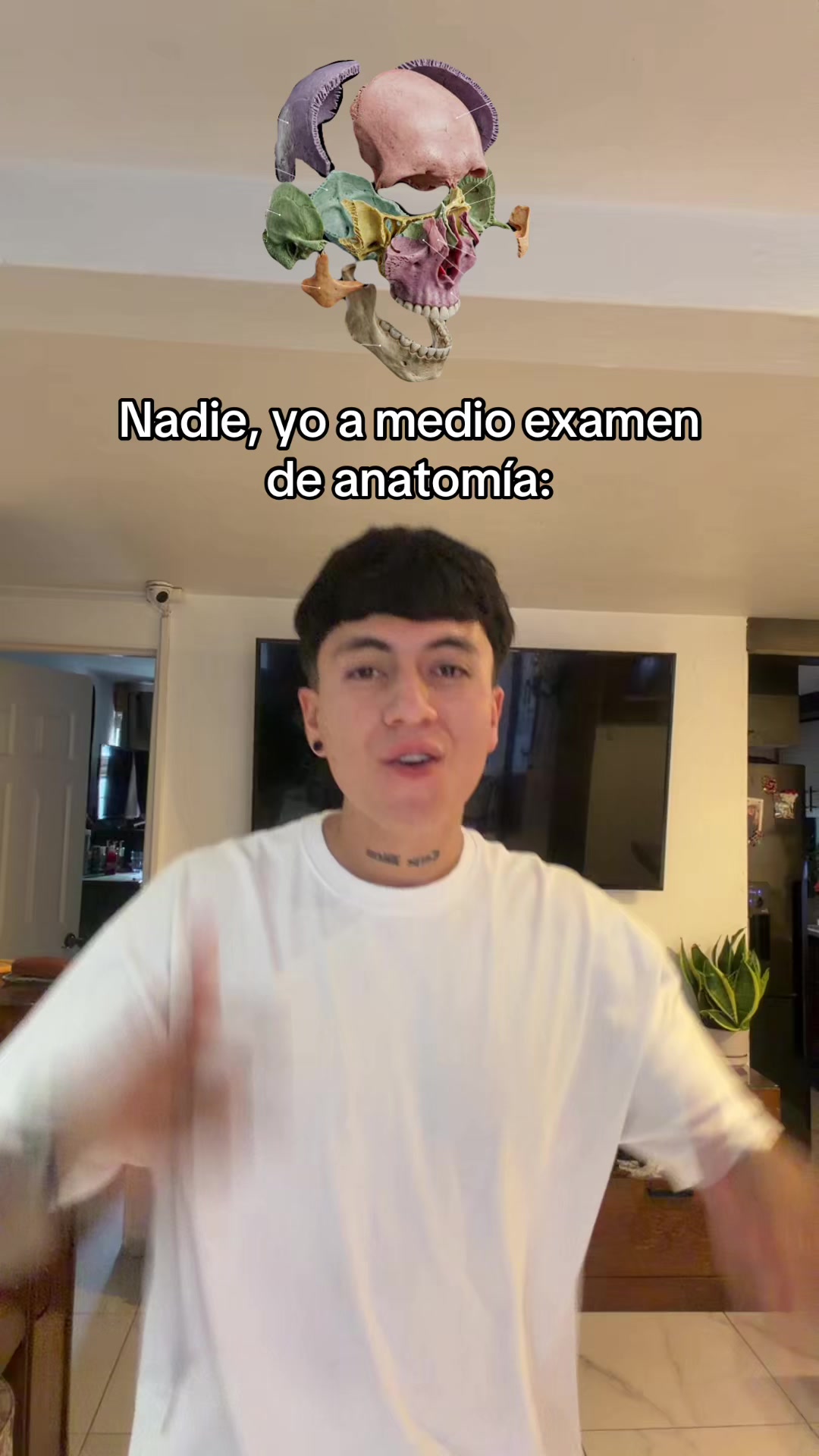 @ENDOBOY