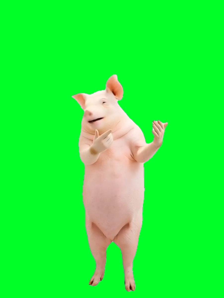 @TikTok Template