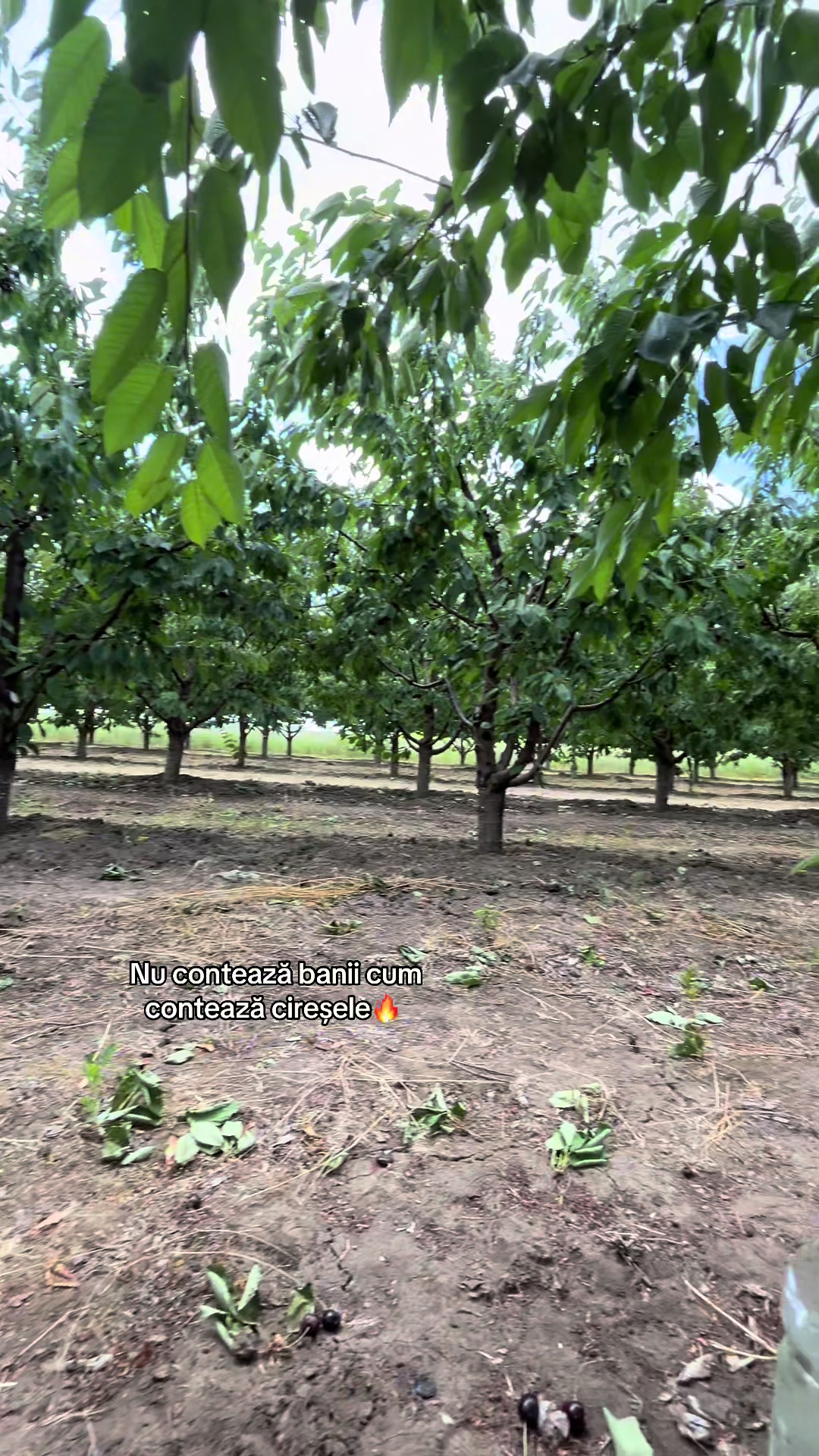 @N
