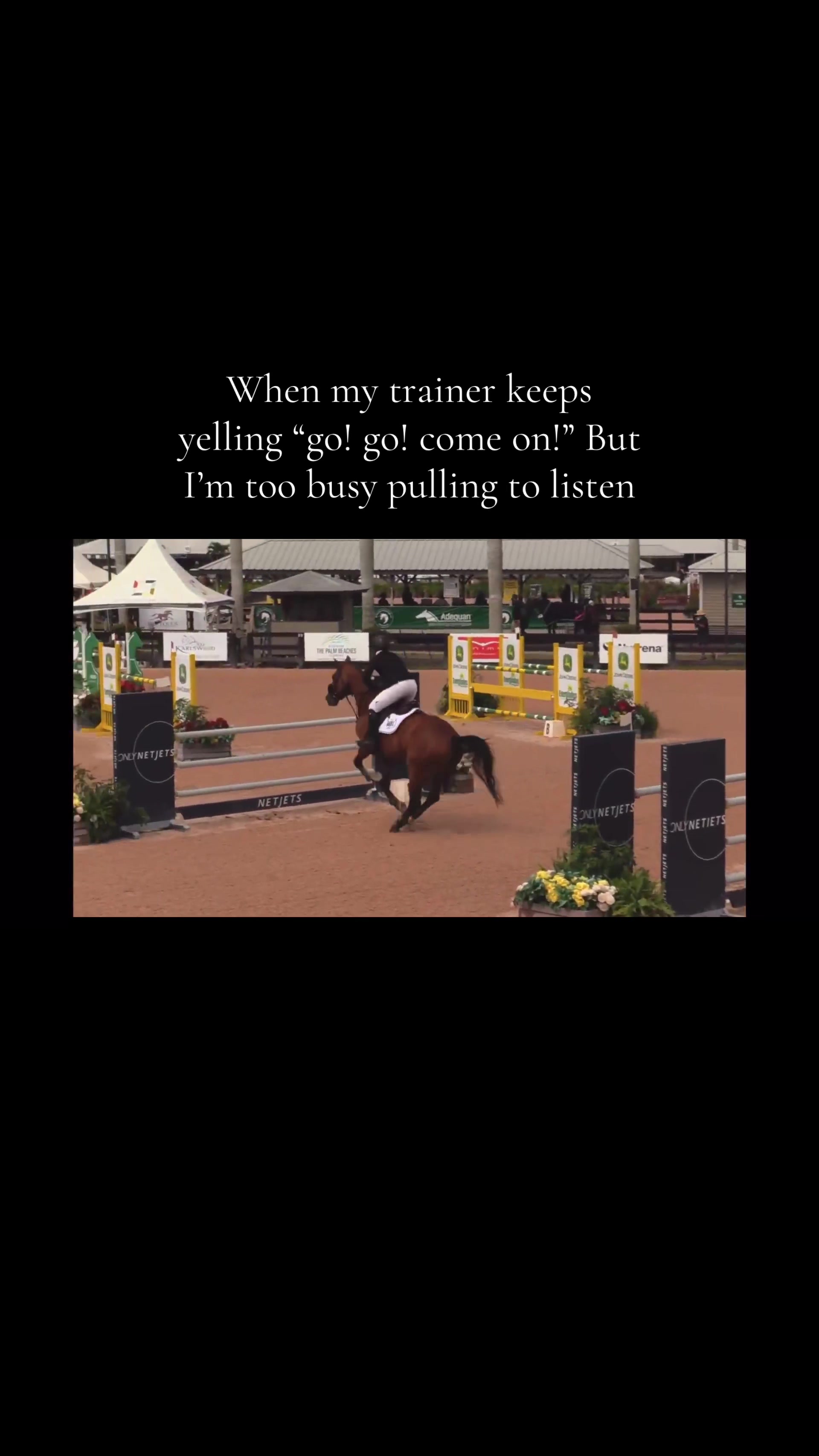 @Dr. J | Horse Show Therapist