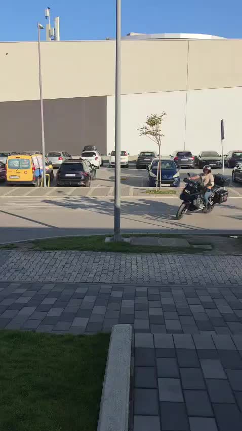 @vmkg