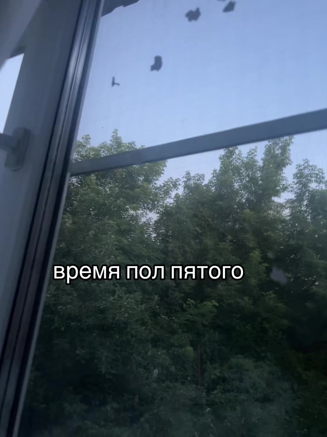 @GrᎥຮђå@