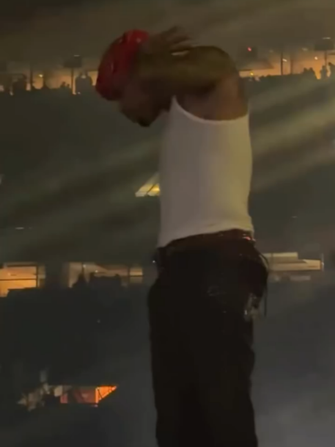 @chrisbreezybrown