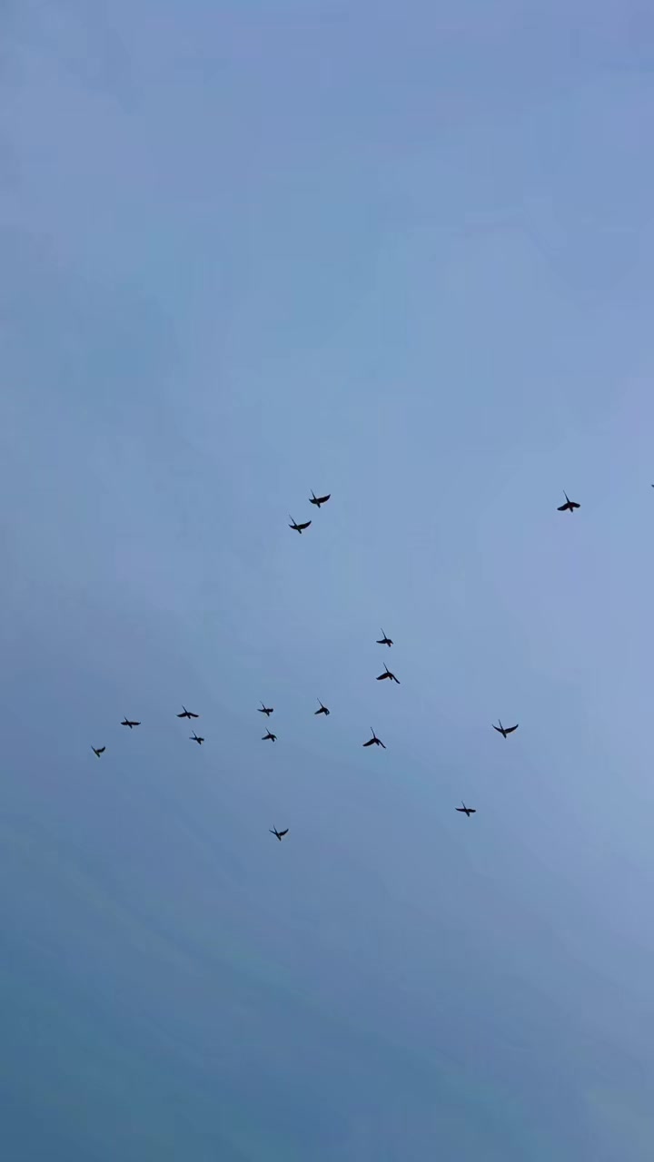 @Q&uuml;&euml;&euml;&ntilde;🦢✨🦚