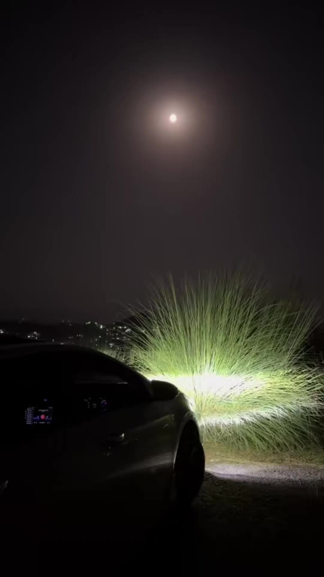 @✨سردارابرارگُجر✨