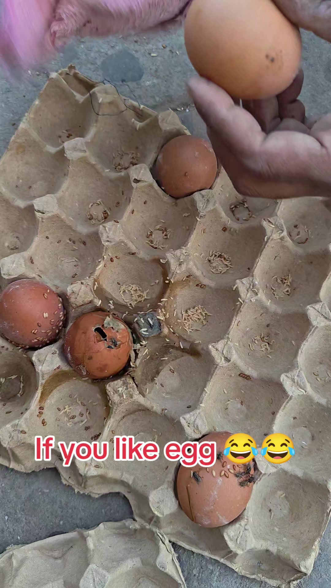 @DipeshSingh.             🕸🕷