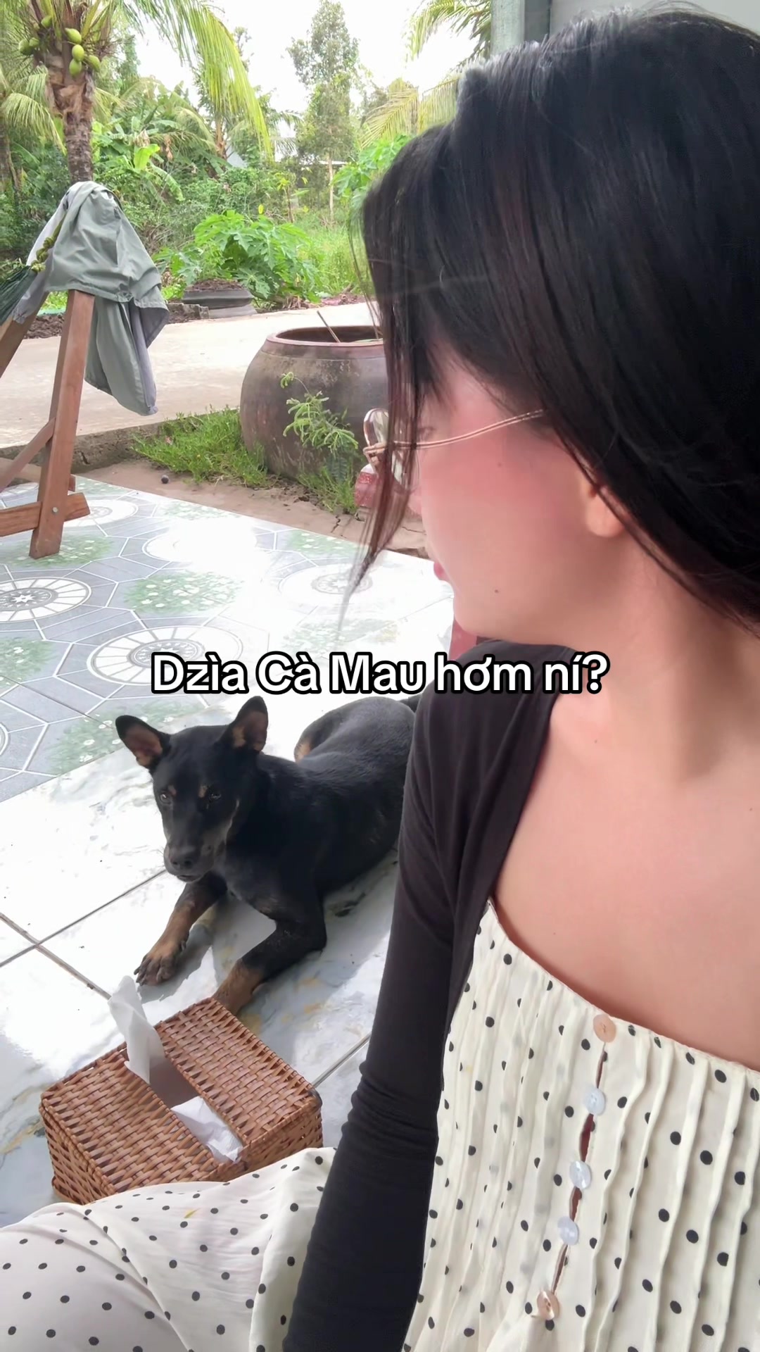 @Bé Rồng