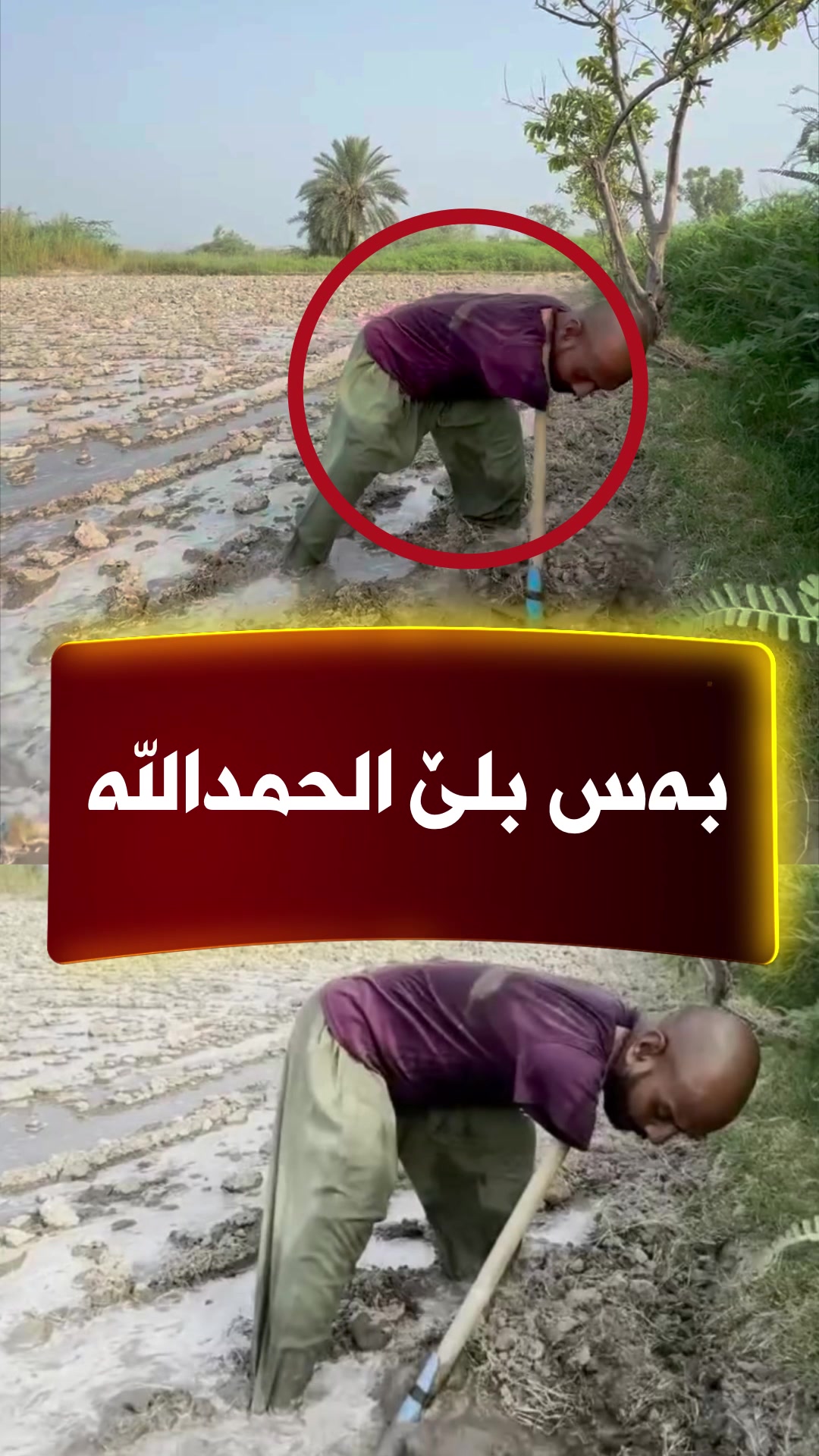 @🎤📺 𓆩جیگر هەركی𓆪 Journalist