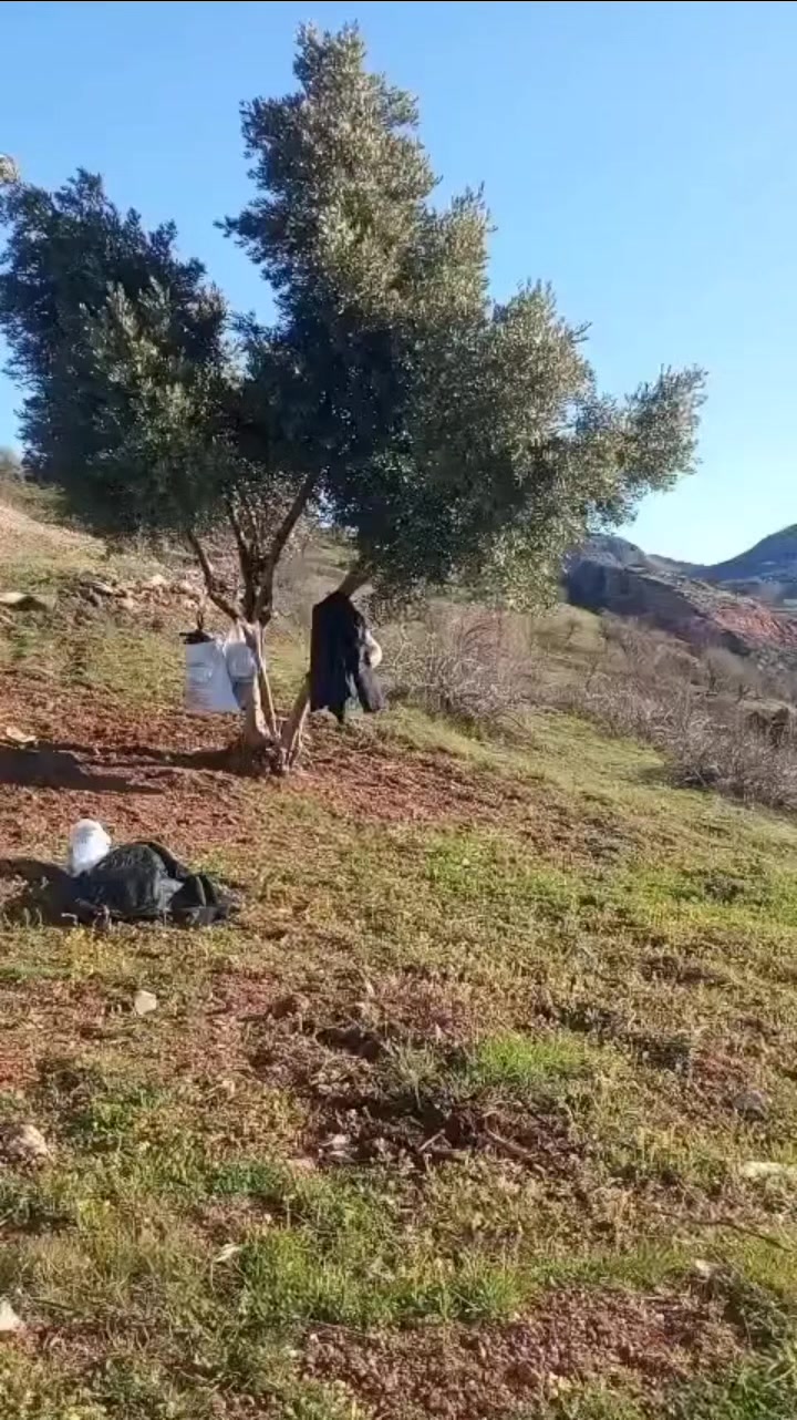 @02 adıyaman fatih