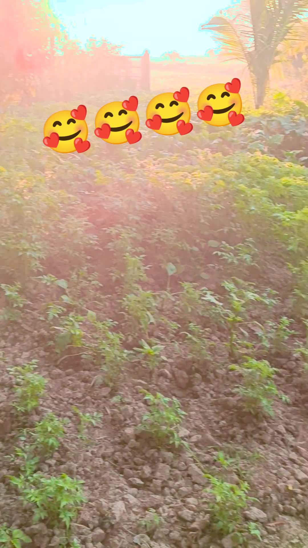 @Krishna