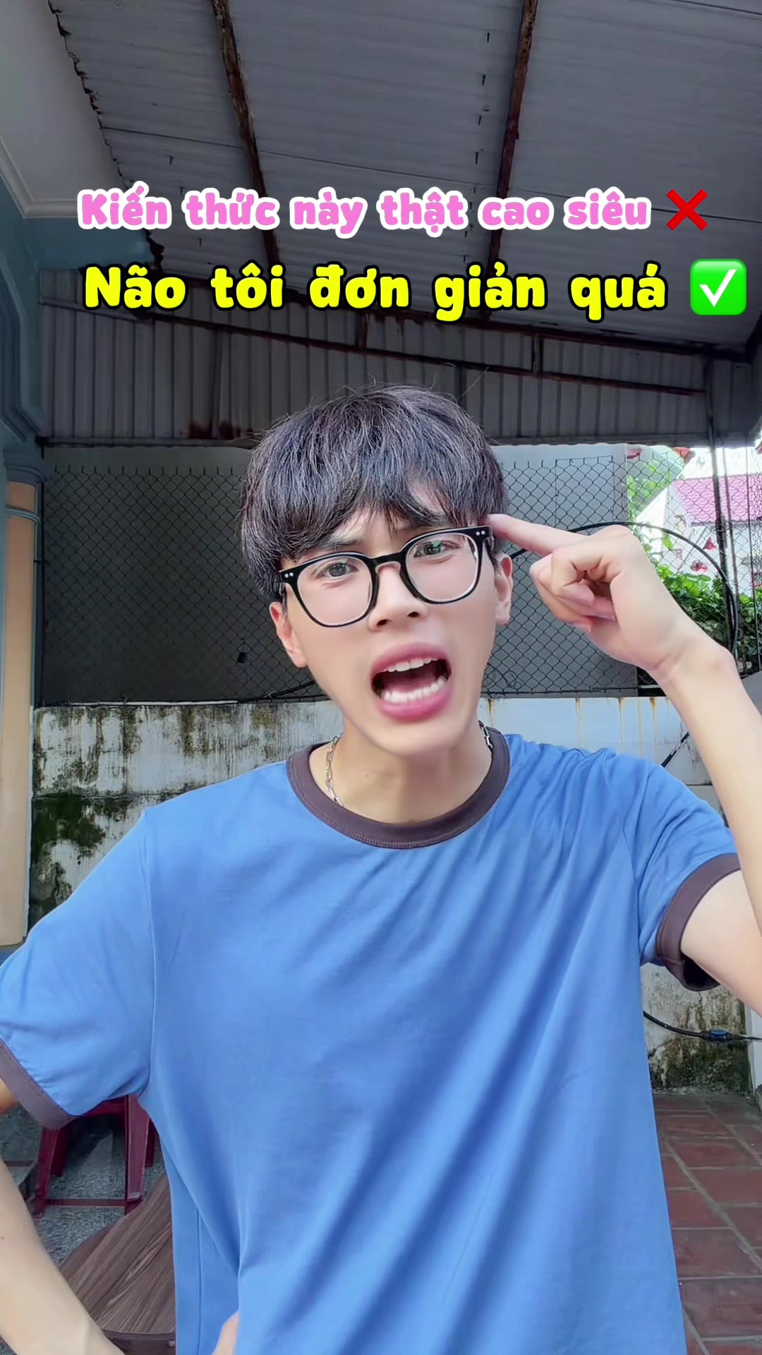 @Huy hạt nhài