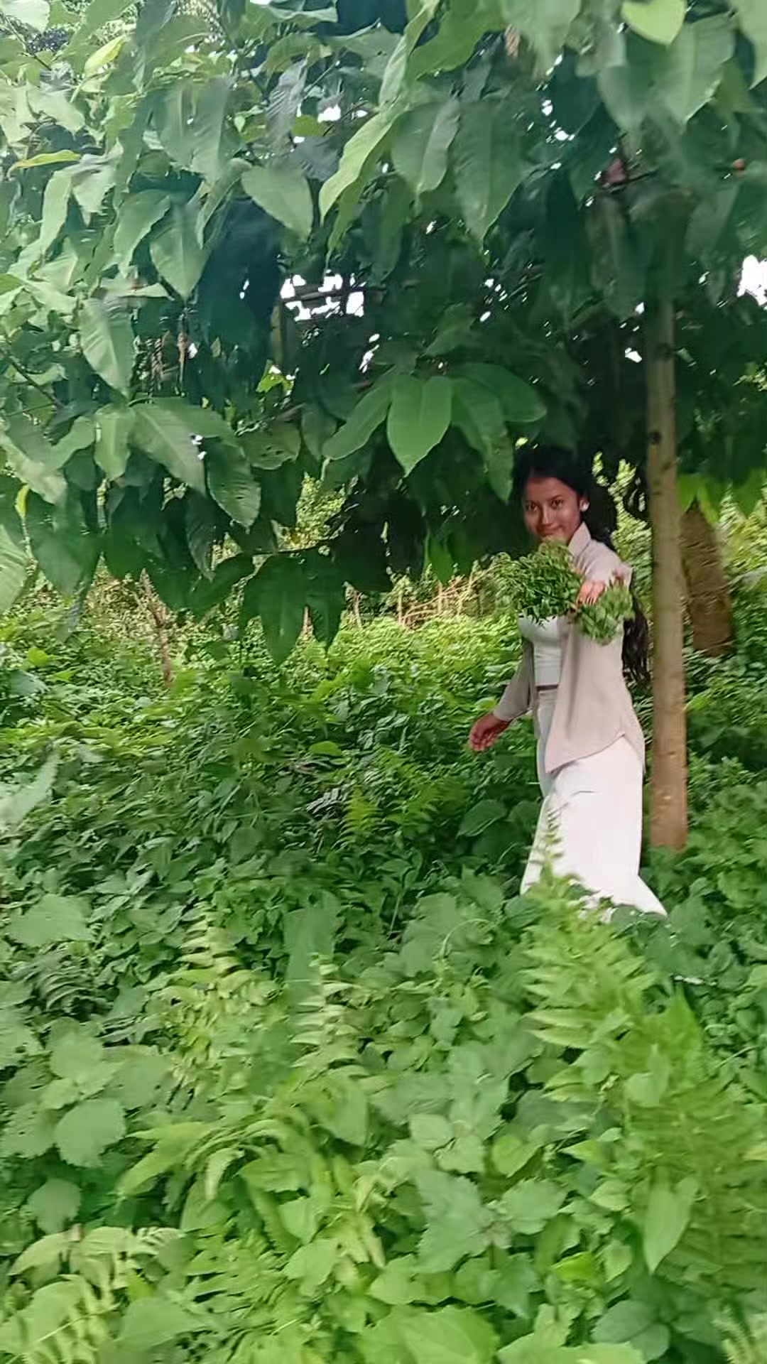 @🌻