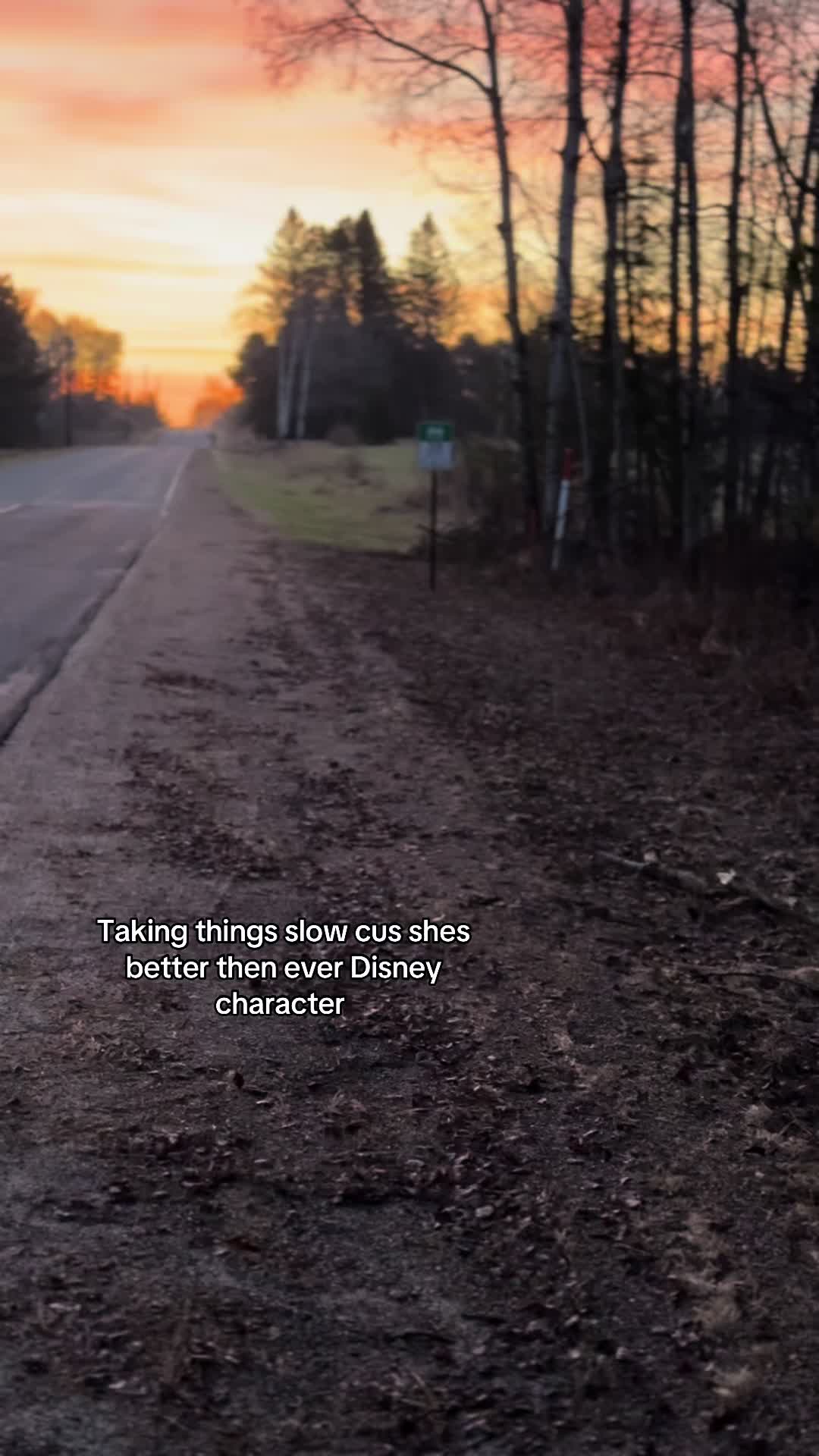 @That tdi bug