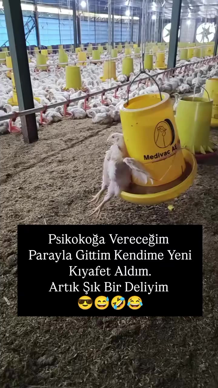 @Özen Ce