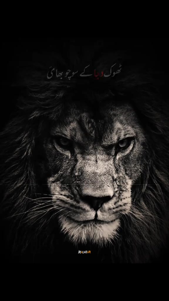 @Imran Ali 🇮🇳🇸🇦
