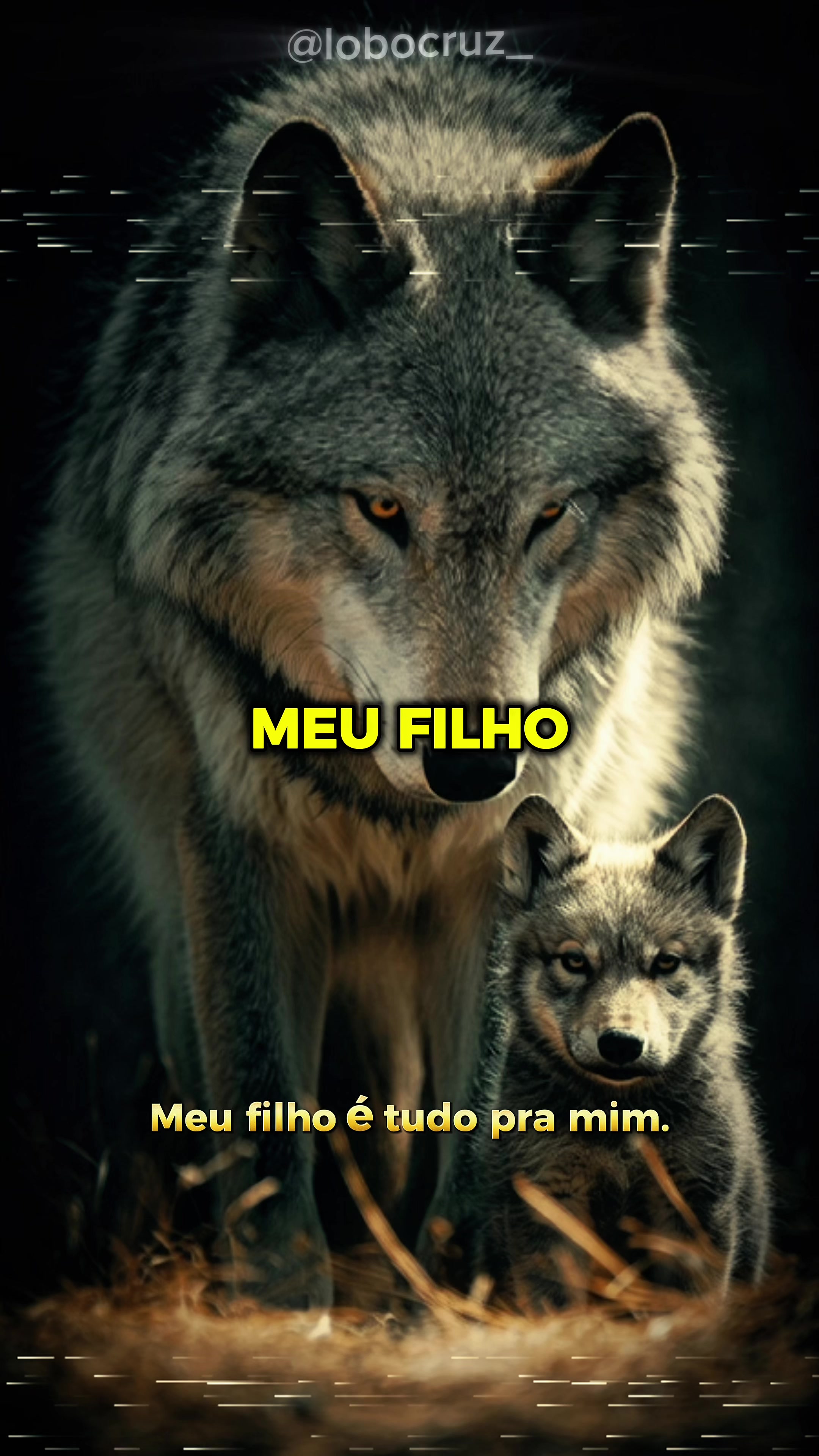 @Lobo Cruz