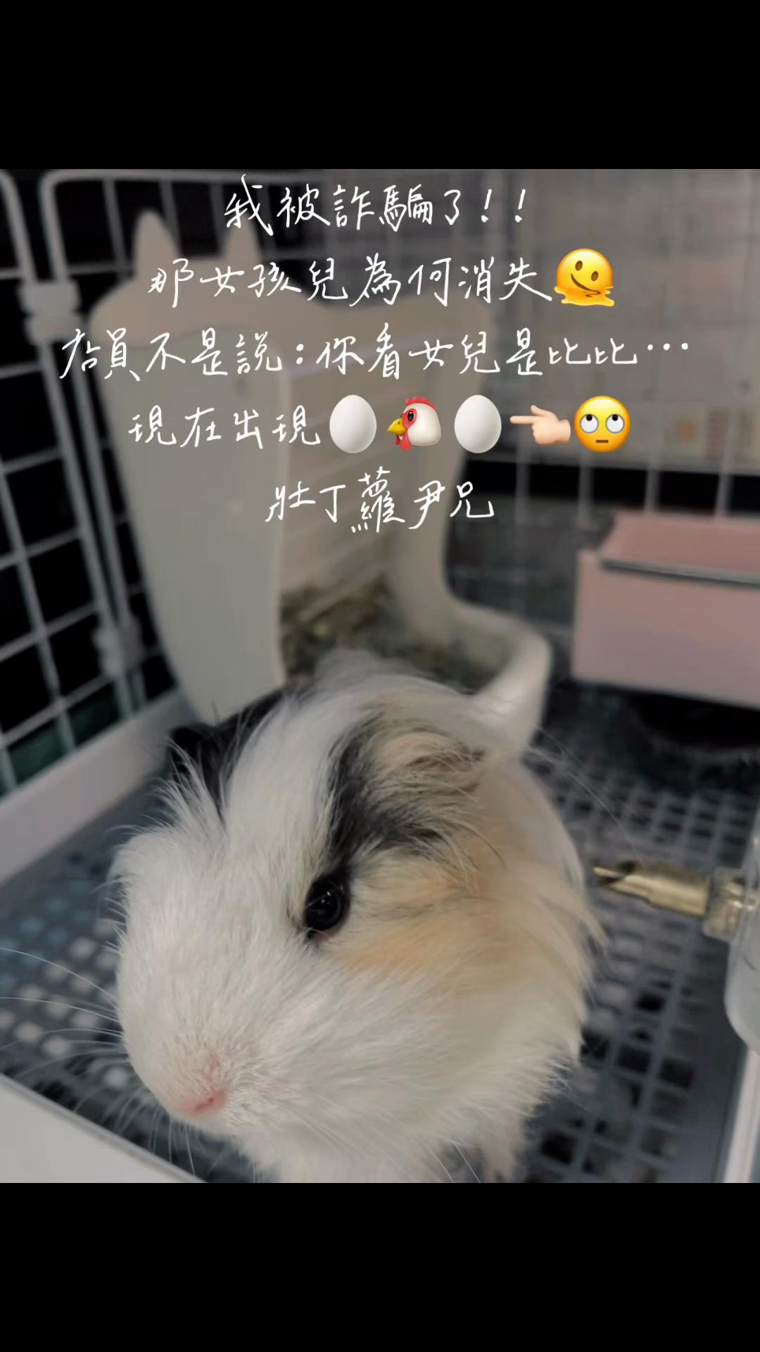 @lai10lai10