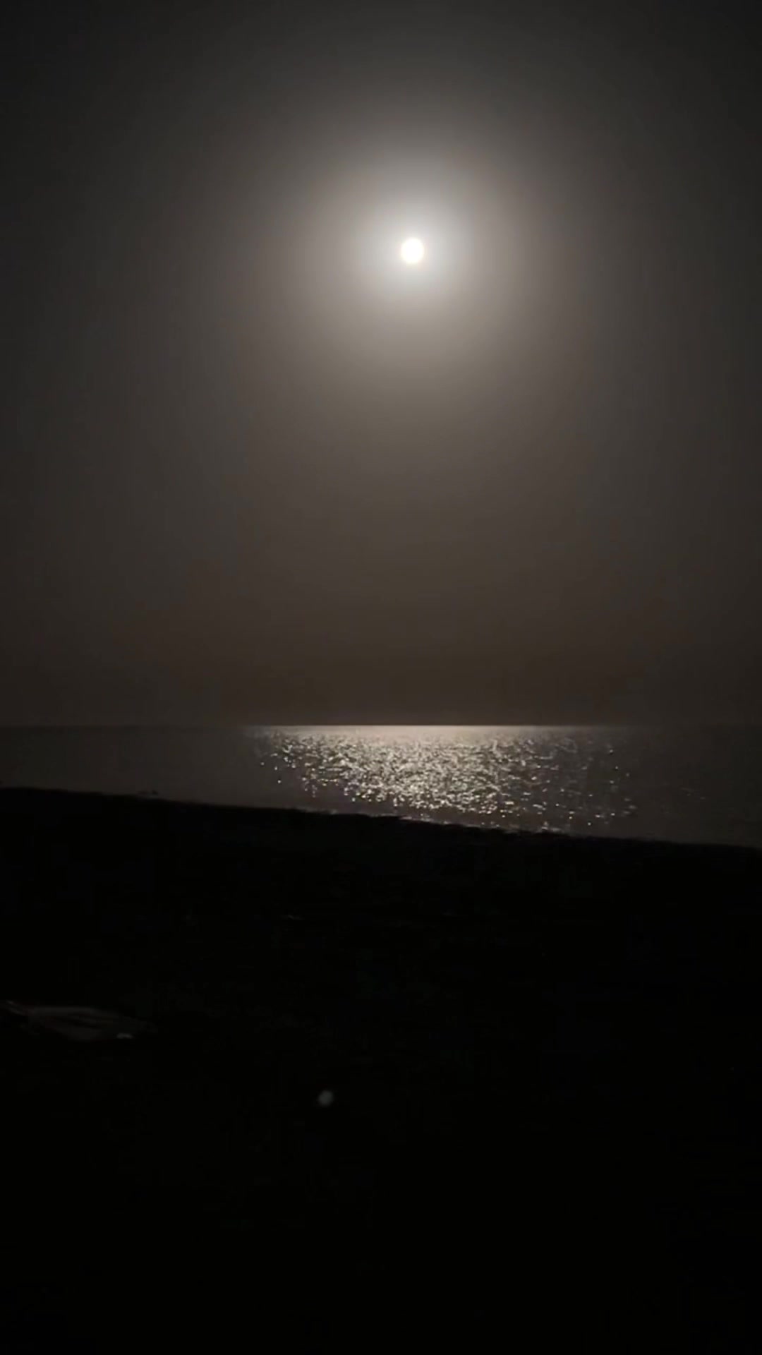 @١٩٩٤♡