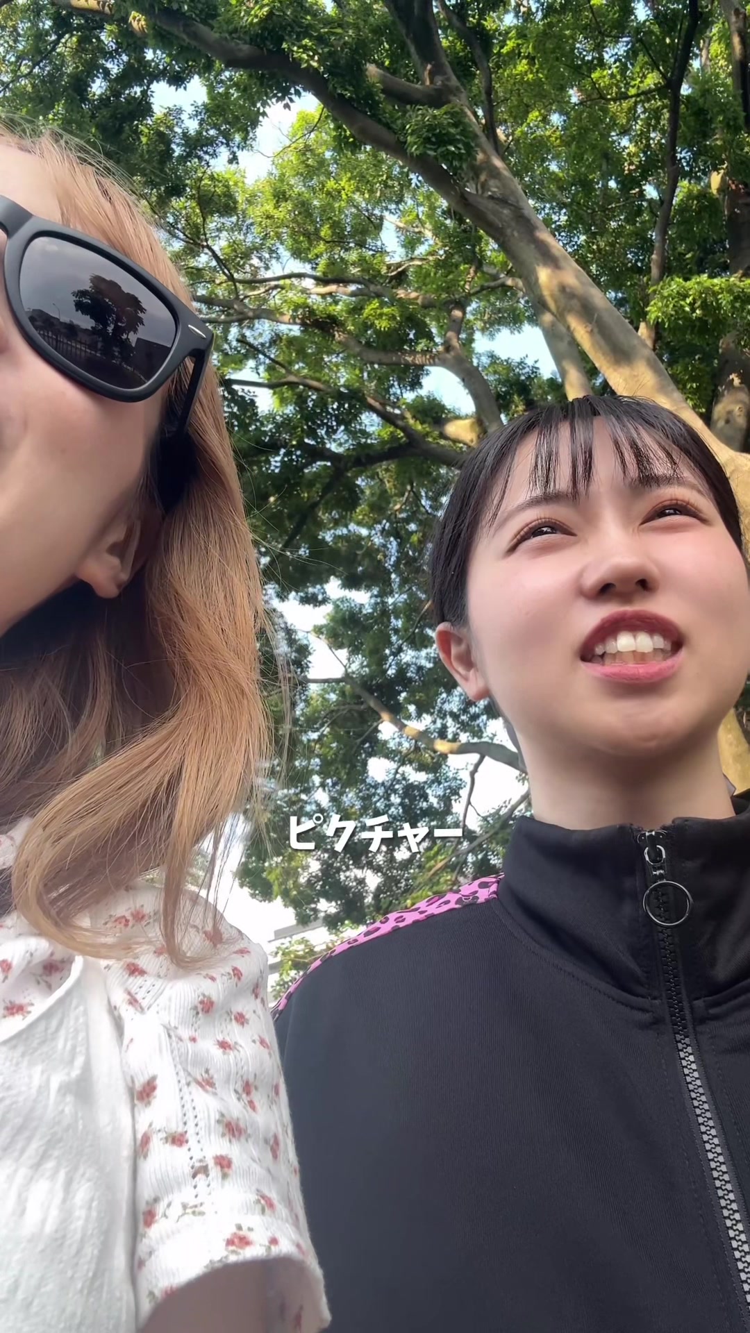 @姉なのね。