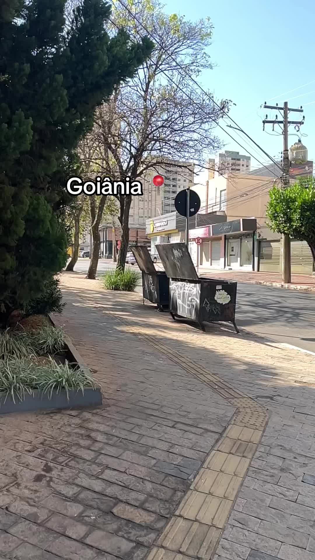 @Paixão Goiana