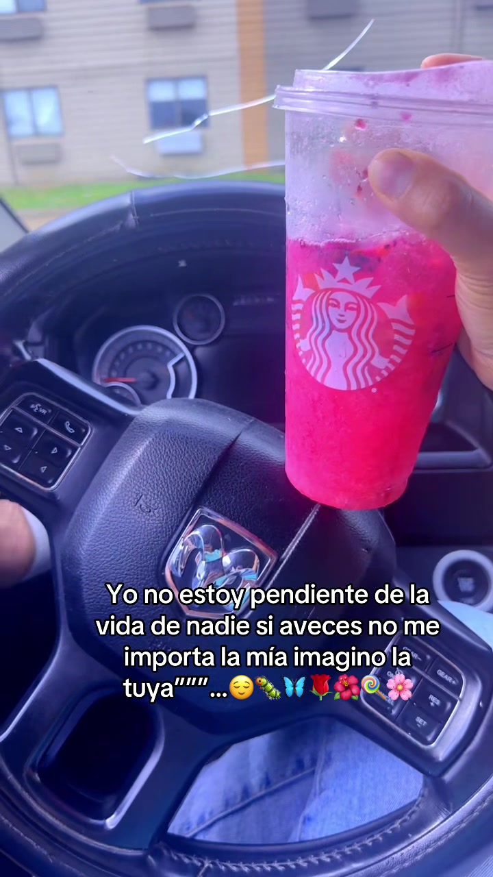 @🌼🌸La Osita 🌸🌼