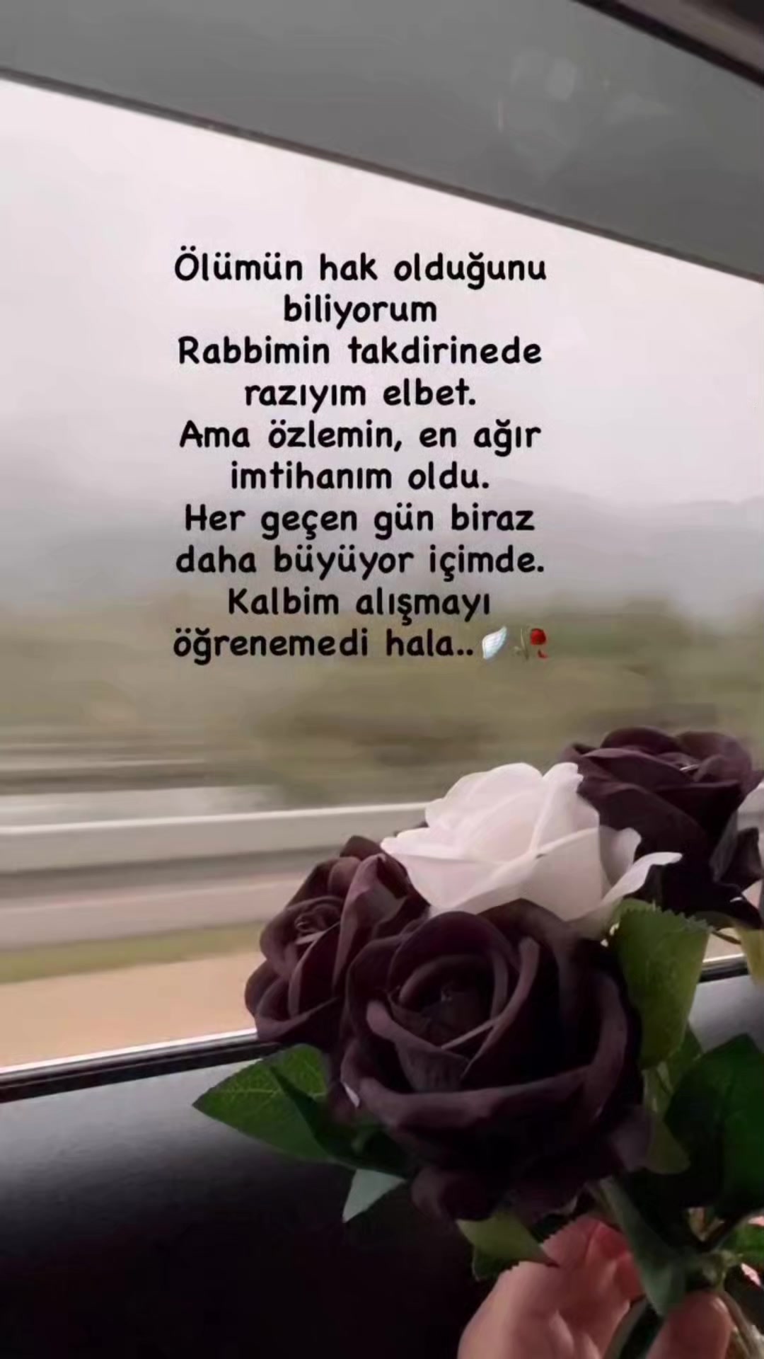 @nazire sıla