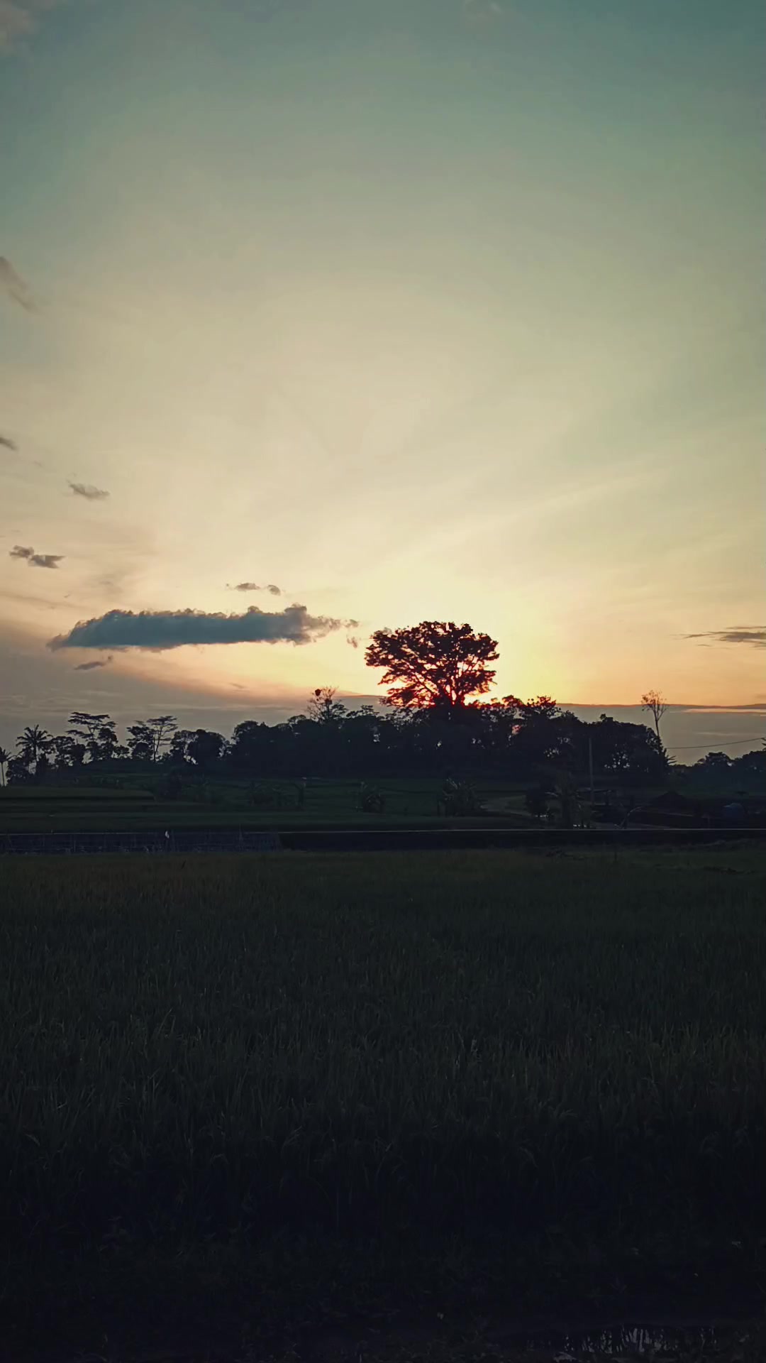 @novaly