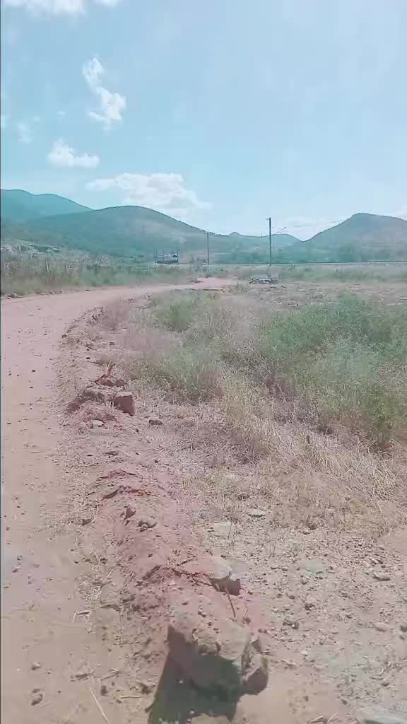 @Noel Mathayo04