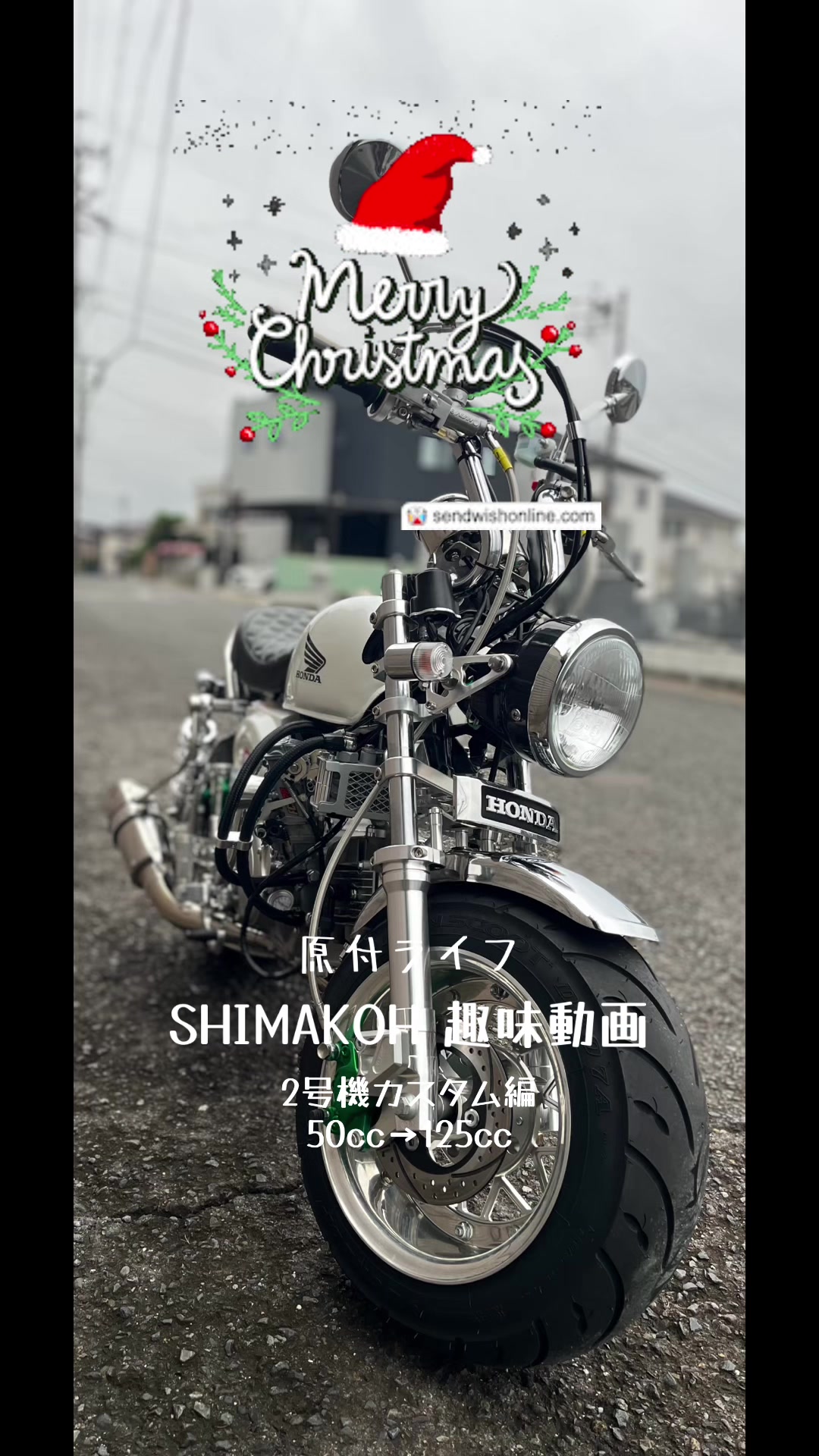 @◽️SHIMAKOH◽️