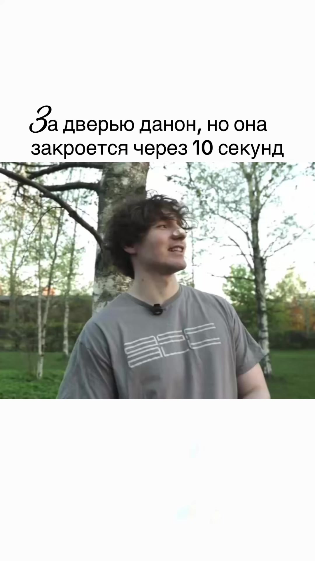 @elvy