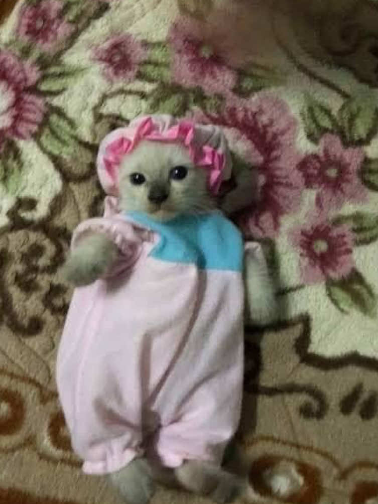 @линочка фонк 𖣂