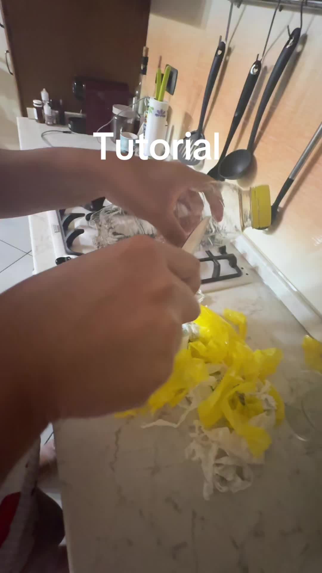 @Valentina 🇧🇷😍❤️