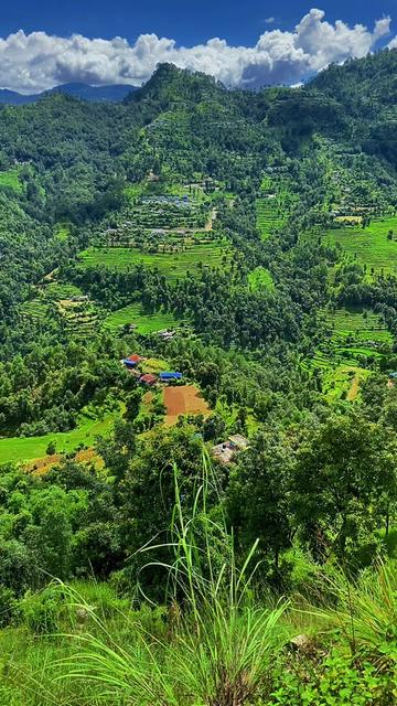 @jivan bhandari
