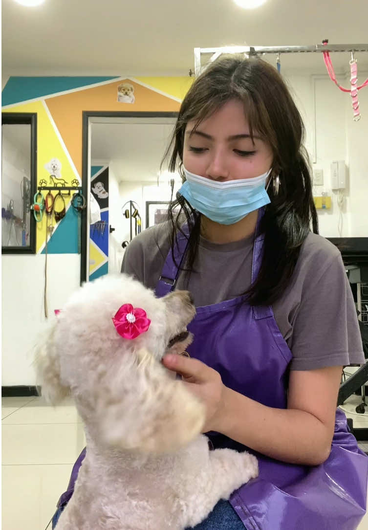 @Gran.kniche🐶