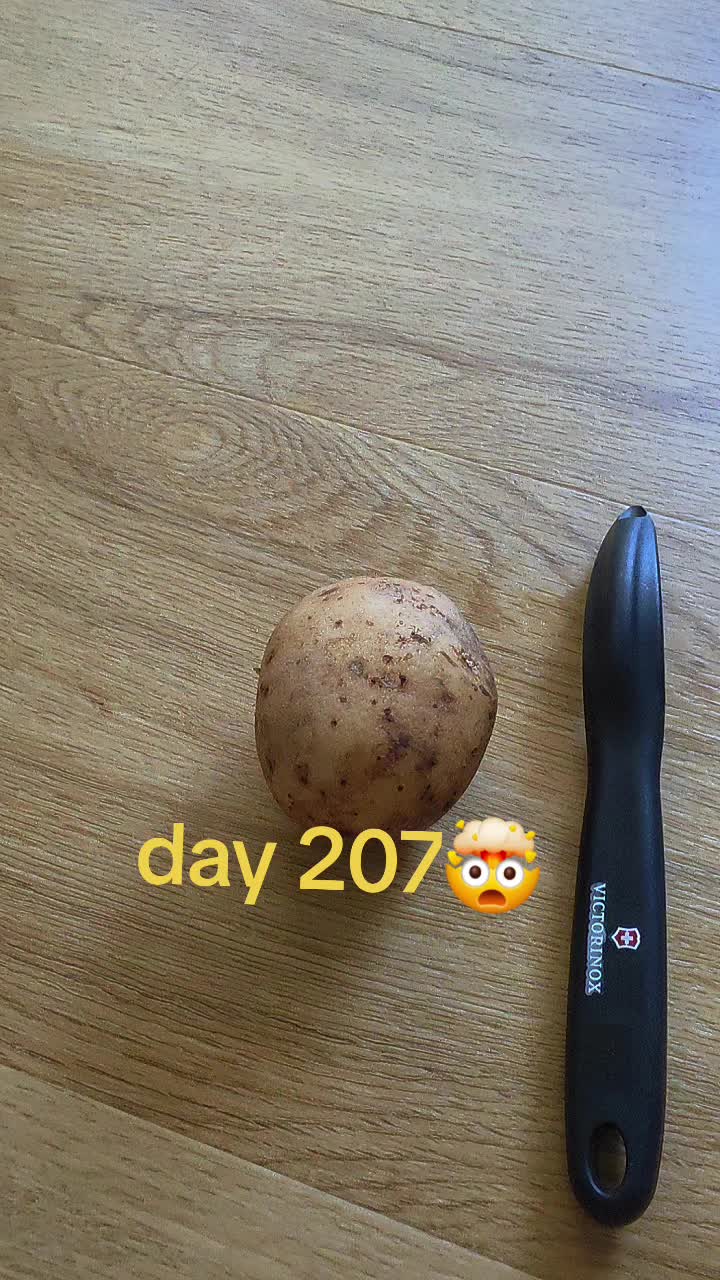 @OneTaterGirl🥔