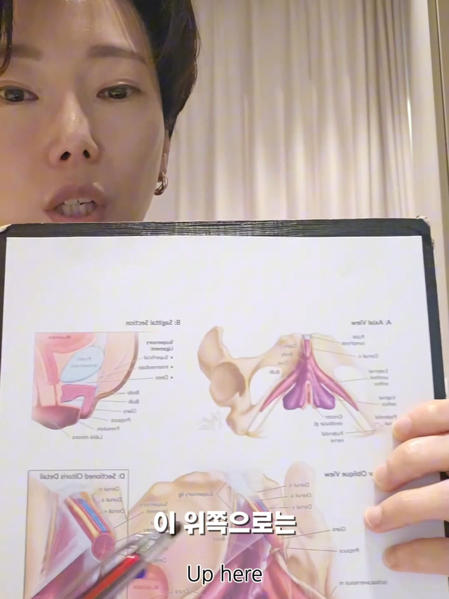 @강남다움산부인과